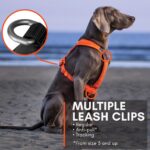 Non-stop dogwear Line 5.0 нагръдник - Image 5