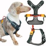 Nomadog Trailblazer нагръдник за кучета с дръжка