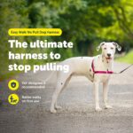 PetSafe Нагръдник за кучета Easy Walk - Image 2
