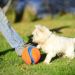 Chuckit! Kick Fetch голяма играчка за кучета - Image 2