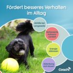Coachi Boomi Ball топка за кучета, 25 см - Image 5