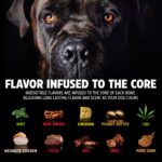 Pet Qwerks Dinosaurier-BarkBone кучешка играчка от найлон, 24,8 см - Image 5