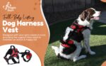 Doggie Stylz Мултифункционален нагръдник за кучета, размер L - Image 3
