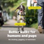 PetSafe Нагръдник за кучета Easy Walk - Image 4