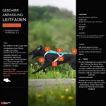 Non-stop dogwear Freemotion 5.0 теглещ нагръдник за кучета, черен/оранжев, размер 3 - Image 3