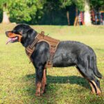 Beebiepet Тактически нагръдник за големи кучета, регулируем, светлоотразителен - Image 2