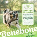 Benebone Wishbone играчка за кучета, дълготрайна, размер L, фъстъчен вкус - Image 6