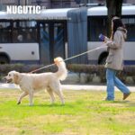 NUGUTIC ръчно плетен памучен повод - Image 7