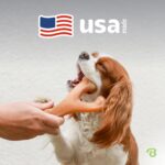 Benebone Wishbone играчка за кучета, с истински бекон, размер L - браун, Голям - Image 5