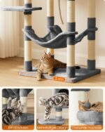 Feandrea котешка катерушка - Image 9