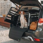 Thule постелка за кучета, черна - Image 4