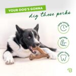 Benebone Wishbone играчка за кучета, дълготрайна, размер L, фъстъчен вкус - Image 3