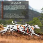 Non-stop dogwear Line 5.0 нагръдник - Image 7