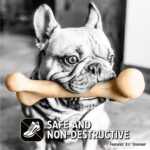 Pet Qwerks Dinosaurier-BarkBone кучешка играчка от найлон, 24,8 см - Image 8