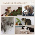 PawHut Комплект за катерене за котки с 4 части, бежов - Image 5