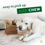 Benebone Играчка за кучета M 4 броя за кучета, които дъвчат интензивно до 27 кг - Image 2