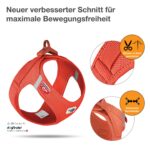 curli Нагръдник Air-Mesh Слънчево оранжево XL - Слънчево оранжево, Изключително голям - Image 2