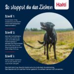 Halti нагръдник против дърпане - Image 4