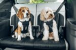 Thule Cappy автомобилен нагръдник - Image 7