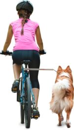dobar® 62000 Walky Dog Plus велосипеден повод за кучета с дистанционер 37,5 см, сребрист - Image 2