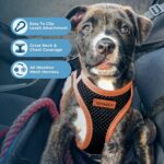 Best Pet Supplies Voyager Step-in Air комплект нагръдник и светлоотразителен повод - Image 5