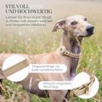 Nina Woof Cupertino нашийник от веганска кожа с държач за тракер - Image 9