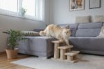 Kerbl Стълба за домашни любимци Easy Climb 2.0 - бежов, 45 см x 35 см x 34 см - Image 3