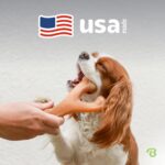 Benebone Wishbone играчка за кучета, дълготрайна, размер L, фъстъчен вкус - Image 5