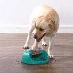 Outward Hound Spin N' Eat Пъзел за кучета и хранилка за бавно хранене, зелен - Image 2