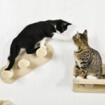 PawHut Комплект за катерене за котки с 4 части, бежов - Image 9