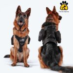 Forestpaw Нагръдник за кучета, тактически, черен, размер M, 54,6–114,3 см - Image 8