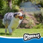 Chuckit! Fetch Medley топки Среден размер 3 броя - Image 5