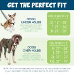 2 Hounds Design Freiheit нагръдник за куче, размер M - Image 8