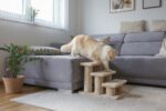Kerbl Стълба за домашни любимци Easy Climb 2.0 - бежов, 45 см x 35 см x 34 см - Image 2