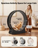 VEVOR Котешко колело, 118 см, дървено за котки до 13,6 кг, черно - Черен, 52 x 13,3 x 55,7 инча / 1320 x 338 x 1415 мм - Image 2