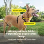 PetSafe Нагръдник 3в1, напълно регулируем, без дърпане, размер M - Image 4