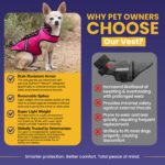 CoyoteVest SpikeVest защитен нагръдник с шипове и светлоотразителни елементи - Image 9
