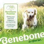 Benebone Играчка за кучета M 4 броя за кучета, които дъвчат интензивно до 27 кг - Image 7