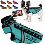 CoyoteVest SpikeVest защитен нагръдник с шипове и светлоотразителни елементи