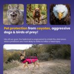 CoyoteVest SpikeVest защитен нагръдник с шипове и светлоотразителни елементи - Image 5