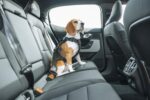Thule Cappy автомобилен нагръдник - Image 5