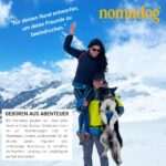 Nomadog Trailblazer нагръдник за кучета с дръжка - Image 10