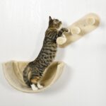 PawHut Комплект за катерене за котки с 4 части, бежов - Image 8