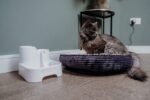 Cat Mate Многостепенен фонтан за пиене 2 л, бял, за котки и малки кучета - Image 3