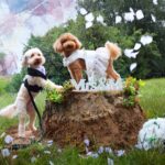 Croci Ceremony Groom официален нагръдник за кучета - Image 6