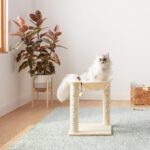 Amazon Basics котешка драскалка с хамак, 41 × 51 × 41 см - Image 4