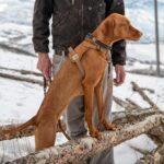 Carhartt регулируем нагръдник против дърпане - Image 6
