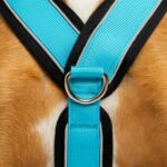 candyPet светлоотразителен Y-образен нагръдник - Image 10