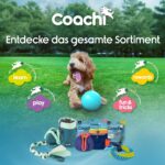 Coachi Boomi Ball топка за кучета, 25 см - Image 8