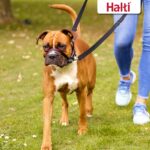 Halti Optifit оглавник за кучета | размер M - Image 5